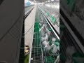 BEST Commercial Rabbit Breeding Cages for Sale &ndash; MUST-HAVE for Rabbit Farmers! (2025)
