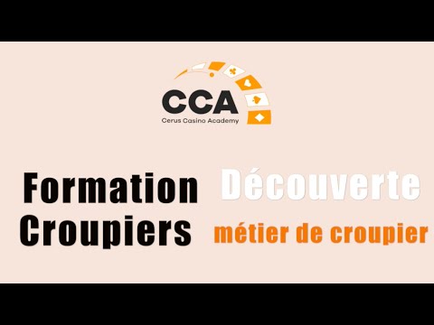 1. Vérification et Optimisation de Votre Connexion Internet