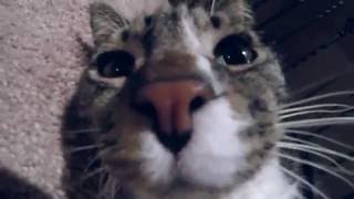 Lets talk about YouTube and me.