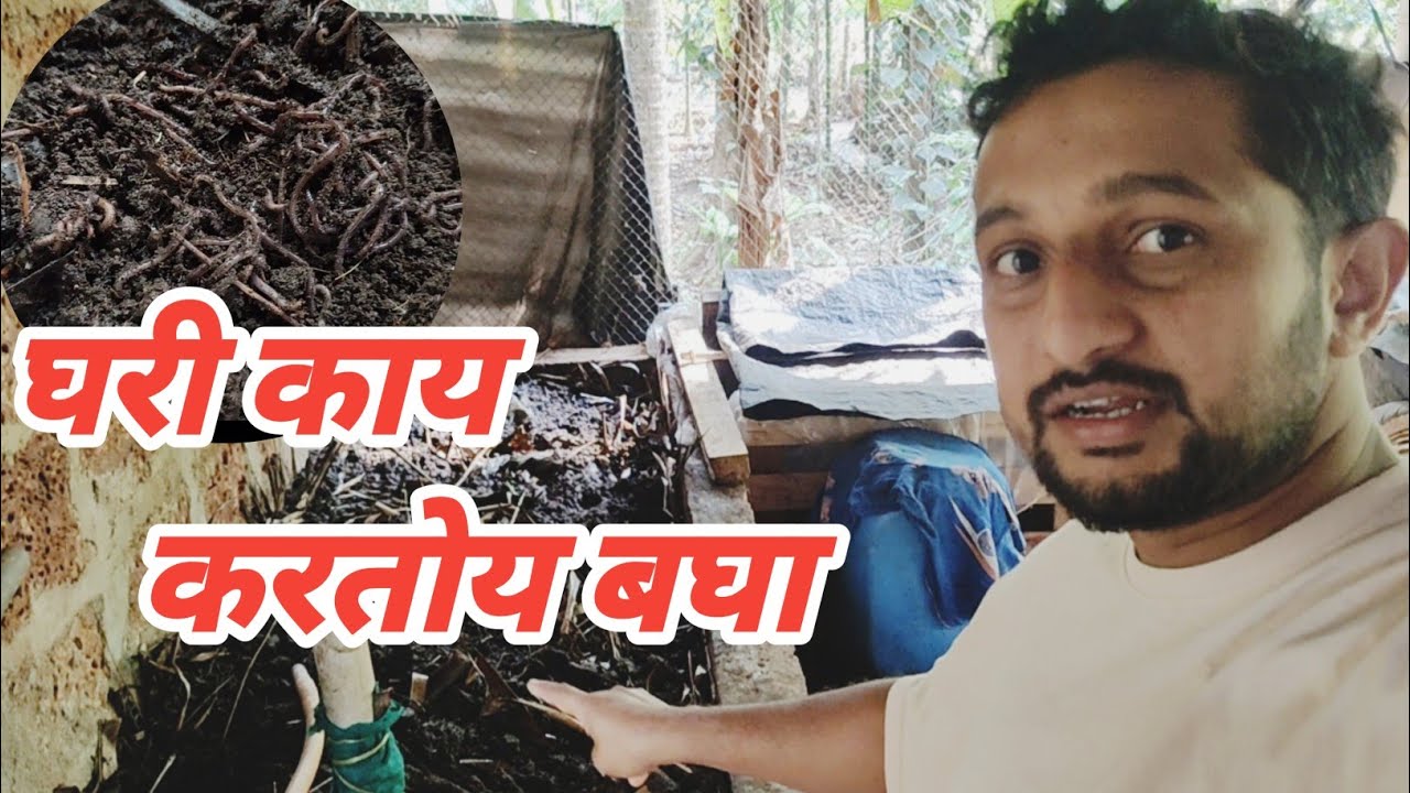😊बरेच दिवसांनी घरी व्लॉग | घरच्या घरी गांडूळ खत | गांडूळ वेगळे कसे करायचे आणि नवीन बेड कसा लावायचा |