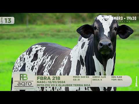 LOTE 13   FBRA 218