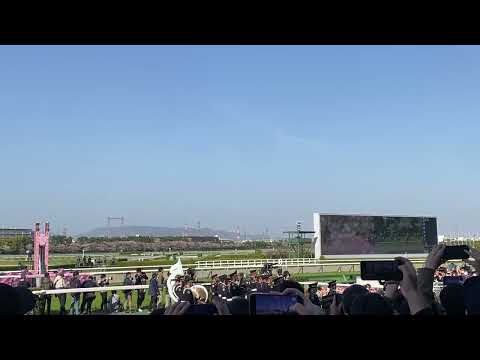 2023 Ouka Award fanfare in Hanshin racecourse (桜花賞ファンファーレ@阪神競馬場)