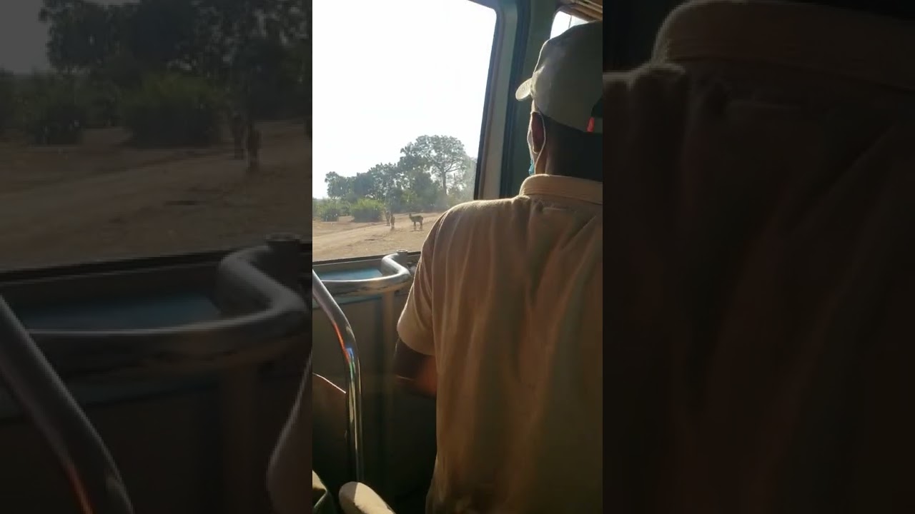 Guided tour through Lilongwe Malawi Safari Park