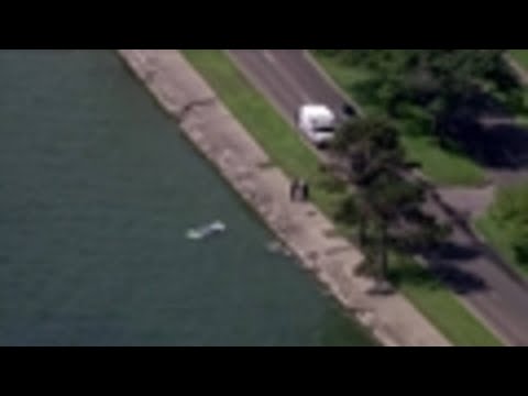 Video: Man rescued from car submerged in Lake St. Clair