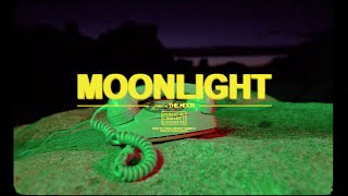 PUBLIC LIBRARY COMMUTE -- MOONLIGHT (OFFICIAL MUSIC VIDEO)
