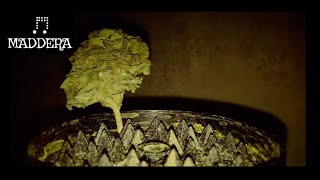 Workaholics (YMTK Ft. Kool John Remix) Prod. Maddera