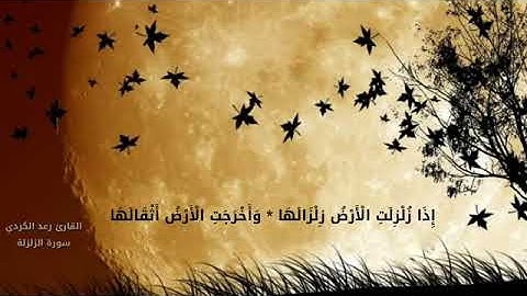 قراءة خاشعة لسورة الزلزلة القارئ رعد الكردي