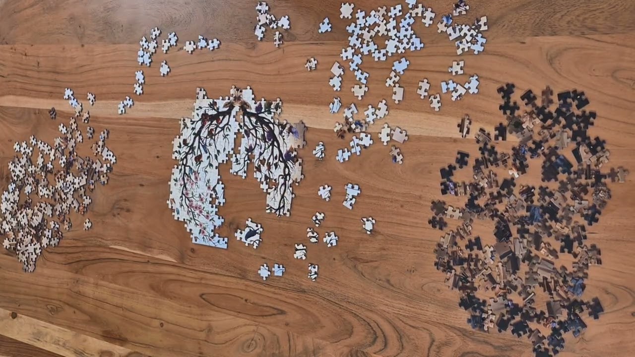 Ravensburger 500 🧩 