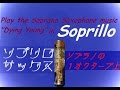 Themefromdyingyoung-kennyg(sax soprillo)MV by SaxophoneTherapist performingテナーソプラノサックス楽譜inB♭管楽器用