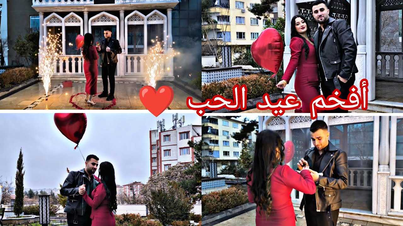 اول سنه عيد الحب حامي وهبه بيحتفلو مع بعض😍❤️/افخم عيد حب🫀