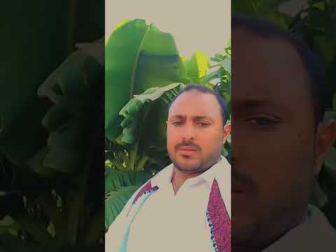 وادي زبيد من مزرعتونا المتواضعه 