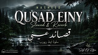 Qusad Einy | Slowed & Reverb | Soul Of Peace|