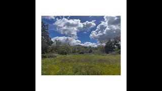 Visual Diary Entry #001 -- Sunday O'Neil Trail Walk