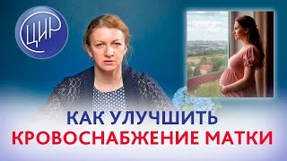 Кровоснабжение матки: как улучшить кровоснабжение матки при беременности. Дементьева С.Н.