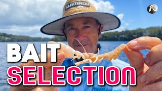 What Baits + Rigs Should You Use? Beach Fishing TRAINING Live Stream!