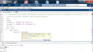 MATRIZ NXM EN MATLAB