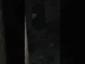 ये कौन मिल गया जंगल में😭🪾|| जंगल में दिखा साया|| #horror #ghost #ytshorts #trending #viral