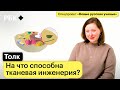 Анастасия Шпичка о том, как выращивают искусственные ткани и органы