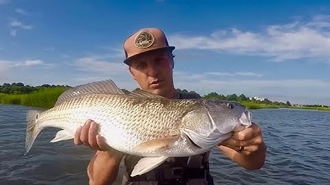 HOW TO CATCH REDFISH - The Ultimate Tutorial and Instructional