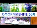 Оформление аквариума на 60л