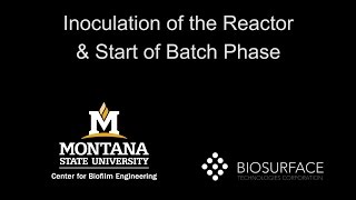 Chapter 15 Inoculation of the reactor and start of batch phase