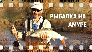 Рыбалка на Амуре (автор А. Белов)