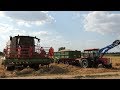 Żniwa 2019! Pełna Moc \\ Ursus x4\\Claas x2