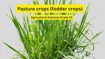 Agricultural Sciences grade 10: Pasture crops fodder crops