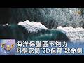 海洋保護區不夠力 科學家揭「2D保育」致命傷｜FOCUS午間新聞 20260626 @tvbsfocus