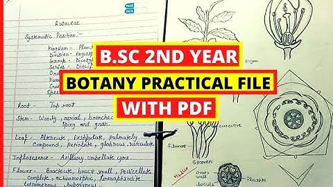Bsc 2 year Botany  practical file
