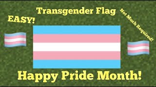 Minecraft Transgender Flag Easy...
