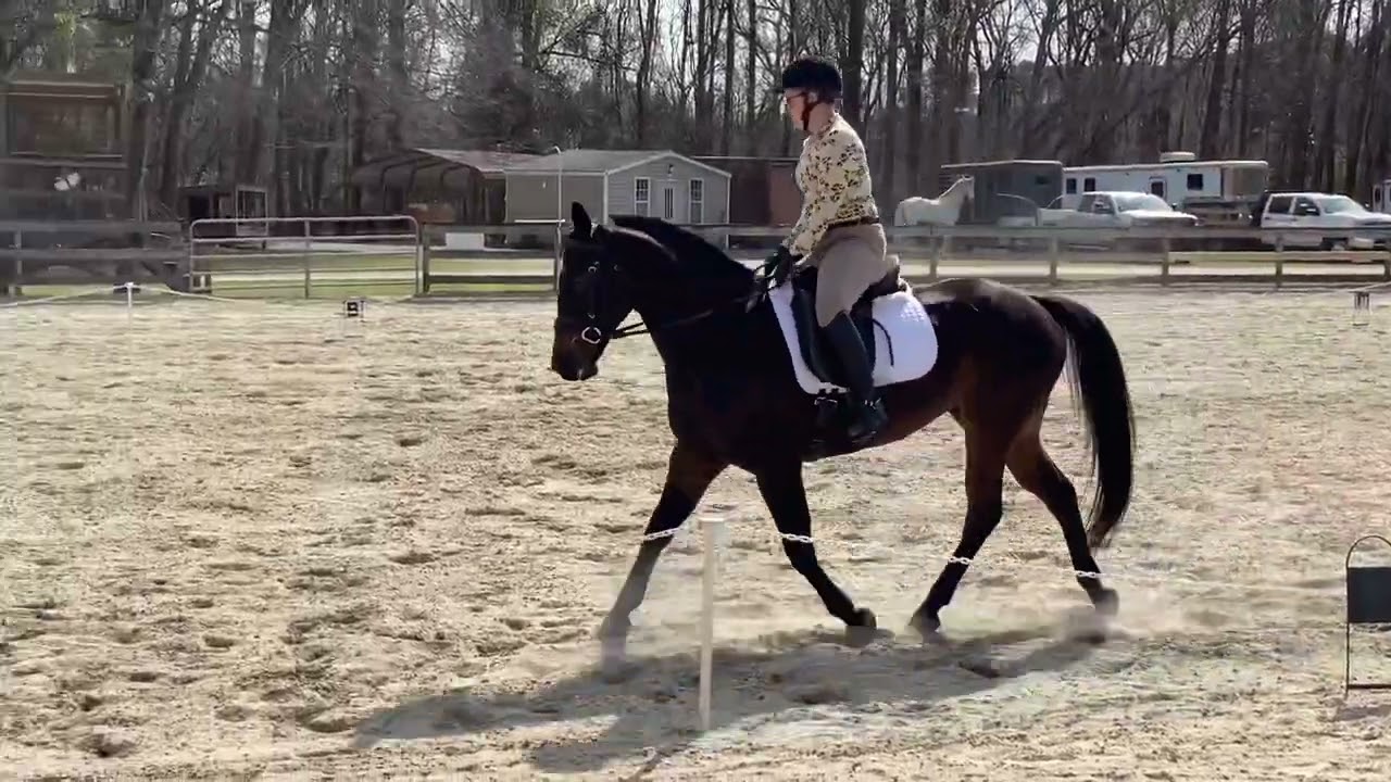Hines Farm Park & Stables (Misfit Equestrian) March 2022 CT GAG Bad