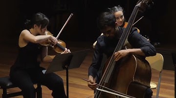 Giovanni Bottesini Concert for Double Bass No.2 (String Quintet)