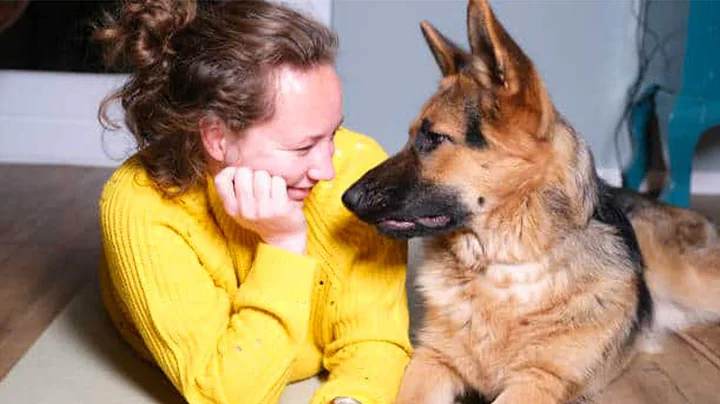 Funny Pet and Human That will Brighten Up Your Day...