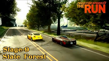 Need for Speed The Run Stage 9 State Forest