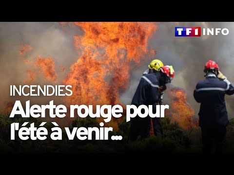 Incendies : la sécheresse actuelle fait craindre le pire pour cet été