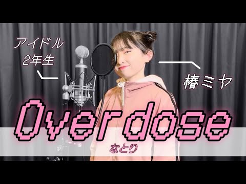 【  歌ってみた  】Overdose (cover)  /  なとり  / 椿ミヤ from amuLse & ミルフェリーチェ