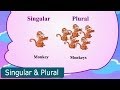 Singular and Plural I Learning the Grammar