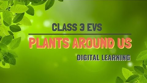Class 3 EVS | Plants Around Us | Digital Learning | Tutorial in English