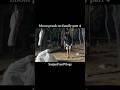 bhoot👻prank on family part 4.😂.#new #comedy #funny #bhoot #prank #video #shorts