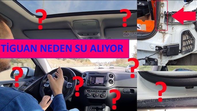 Ауылдың мас әйелдері сиқырды сорып алады