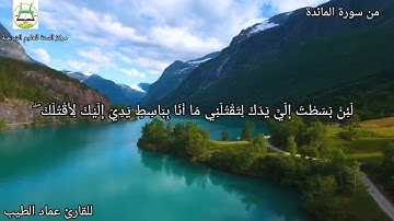 تلاوة خاشعة من سورة المائدة| للقارئ عماد الطيب