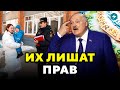 Новые правила! МВД усложняет жизнь этой группе беларусов. В фокусе — дети // Новости