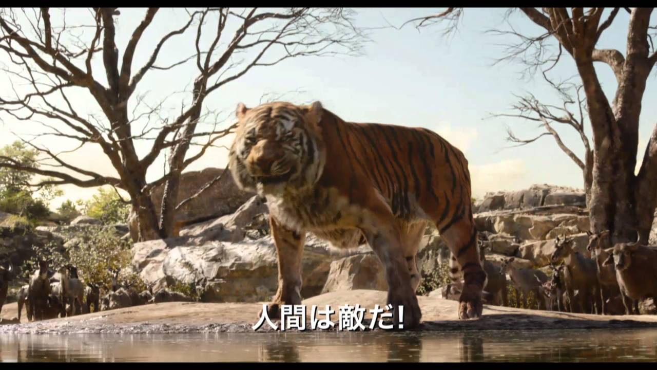 ジャングル ブック 16 感想 ネタバレ 実写化だけど ほぼフルcg シネマンドレイク 映画感想 レビュー