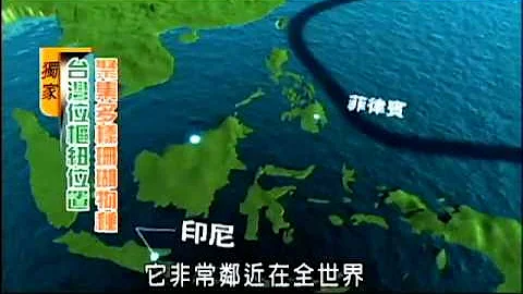 海洋污染生态 世界珊瑚浩劫－民视新闻 - 天天要闻