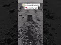 بەسەرهاتی ئەو گەنجەی قەبرەکەی ماری تێدابوو مامۆستا حسن سیرە تەنها ئیسلام بانگەوازی ئیسلام بەسەرهاتی ئەو گەنجەی قەبرەکەی ماری تێدابوو مامۆستا حسن سیرە تەنها ئیسلام بانگەوازی ئیسلام