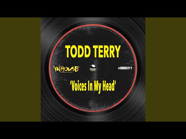 Todd Terry - Voices In My Head