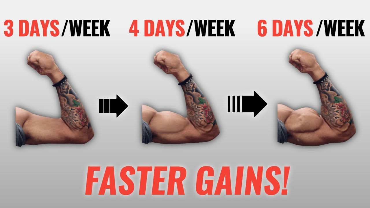 How Many Days A Week Should You Workout? (Faster Gains!)