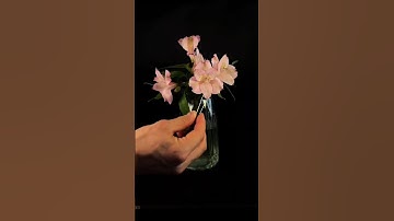 The Secret World of Flower Pollen: A Closer Look" 🌸 #shorts #flowerpollen