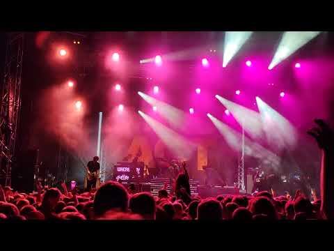 Yard Act -